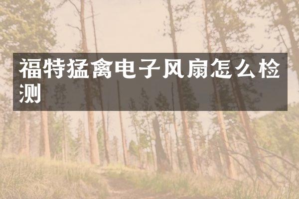 福特猛禽电子风扇怎么检测