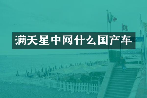 满天星中网什么国产车