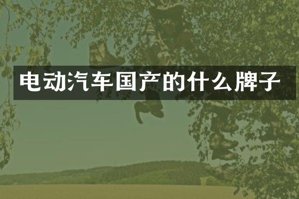 电动汽车国产的什么牌子