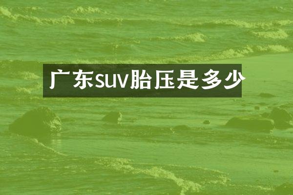 广东suv胎压是多少