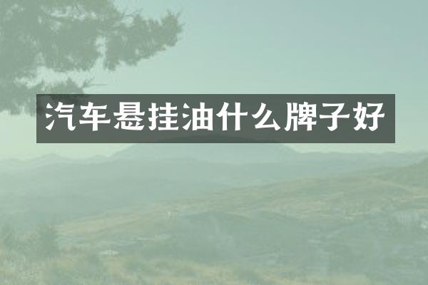 汽车悬挂油什么牌子好