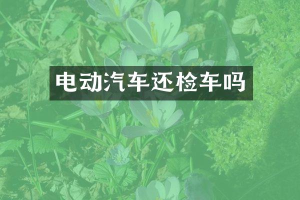电动汽车还检车吗