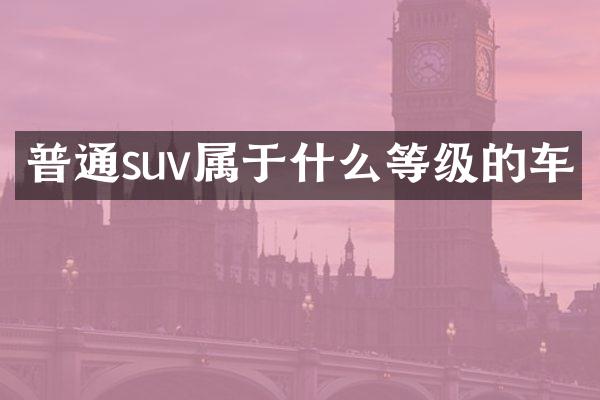普通suv属于什么等级的车