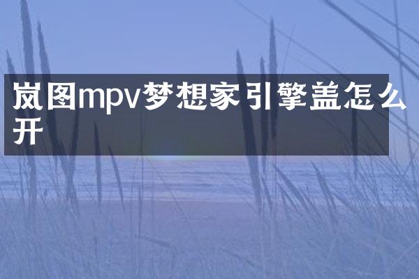岚图mpv梦想家引擎盖怎么开