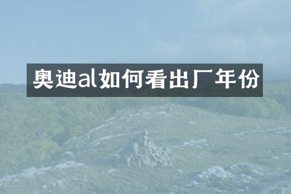 奥迪al如何看出厂年份