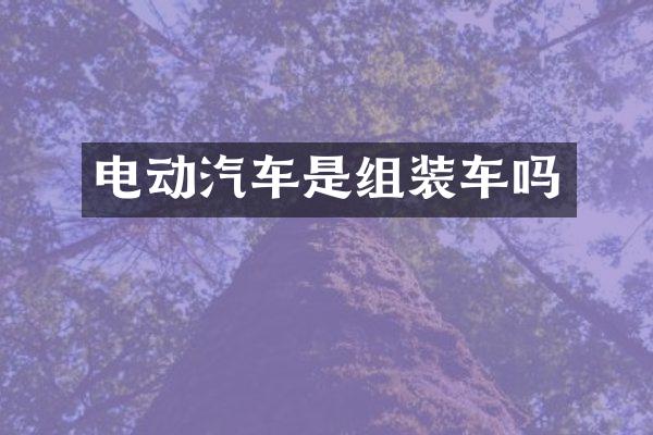 电动汽车是组装车吗