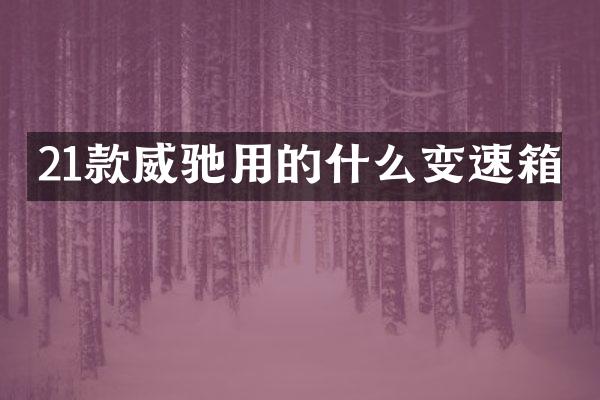 21款威驰用的什么变速箱