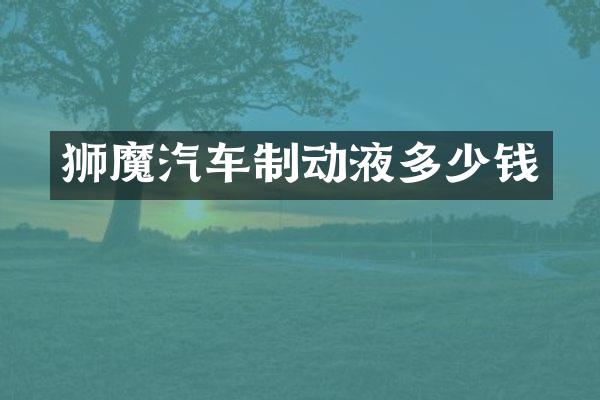 狮魔汽车制动液多少钱