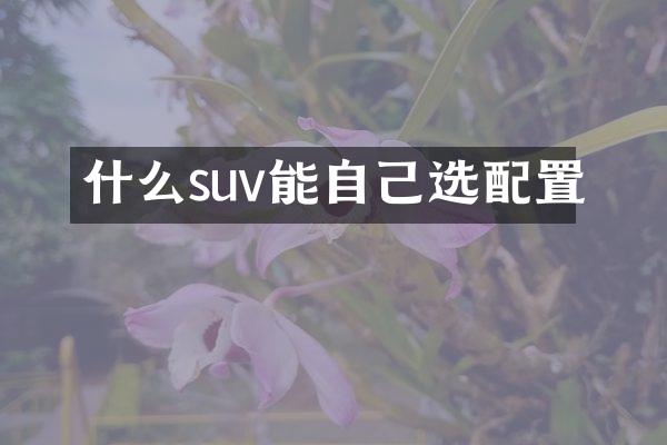 什么suv能自己选配置
