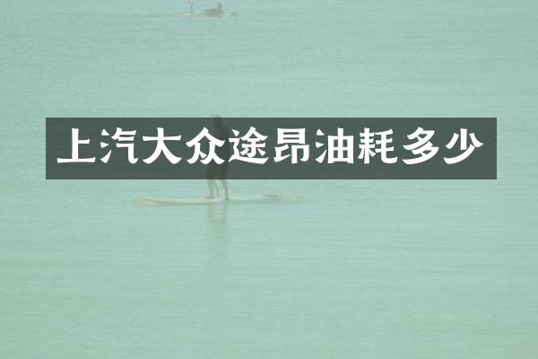 上汽大众途昂油耗多少