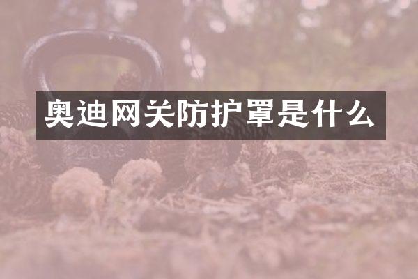 奥迪网关防护罩是什么