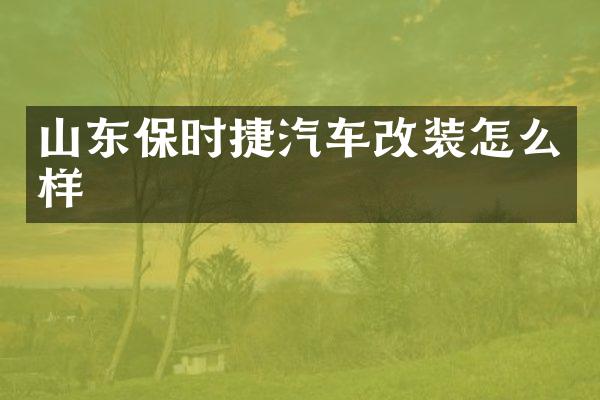 山东保时捷汽车改装怎么样