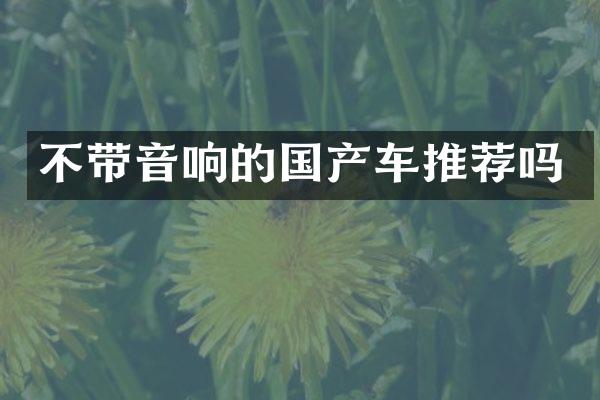 不带音响的国产车推荐吗