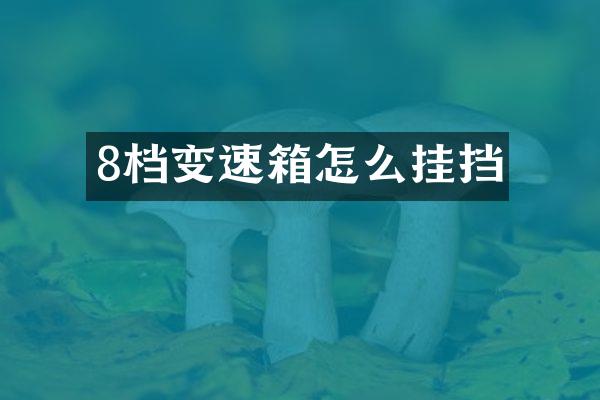 8档变速箱怎么挂挡