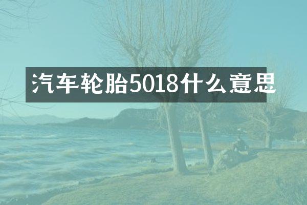 汽车轮胎5018什么意思