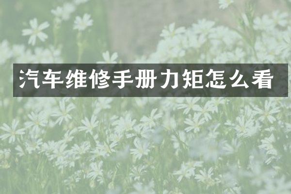 汽车维修手册力矩怎么看