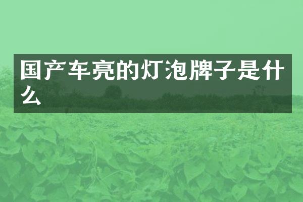 国产车亮的灯泡牌子是什么