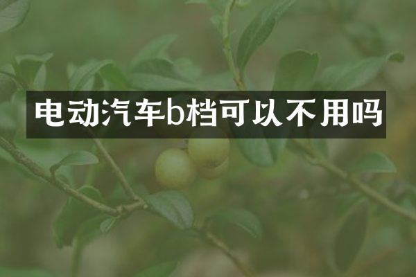 电动汽车b档可以不用吗