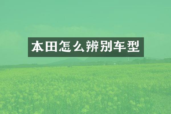 本田怎么辨别车型