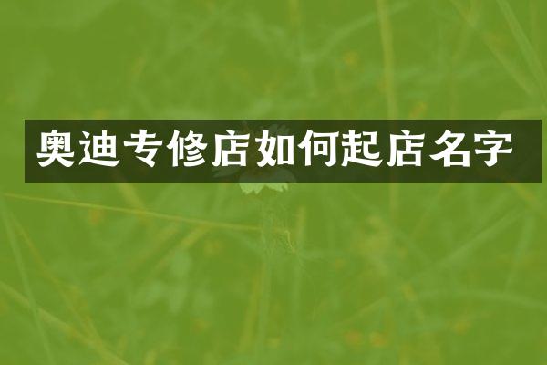 奥迪专修店如何起店名字