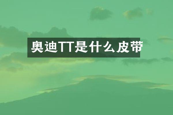 奥迪TT是什么皮带
