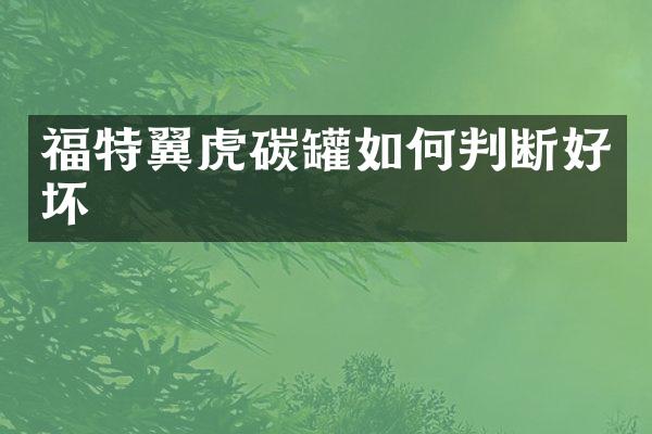福特翼虎碳罐如何判断好坏