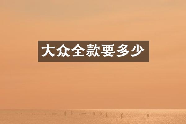 大众全款要多少