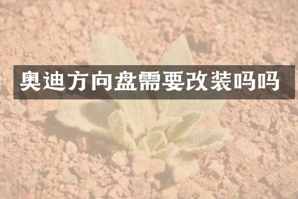 奥迪方向盘需要改装吗吗