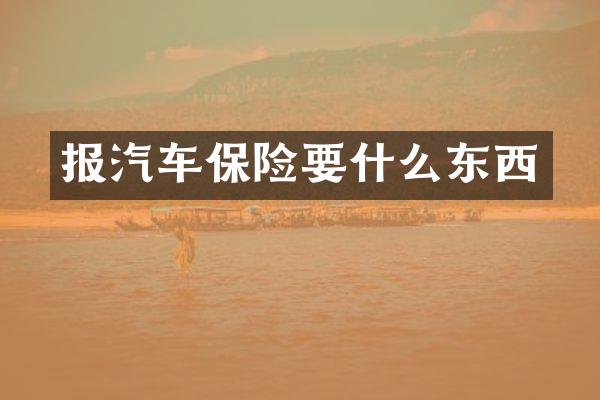 报汽车保险要什么东西