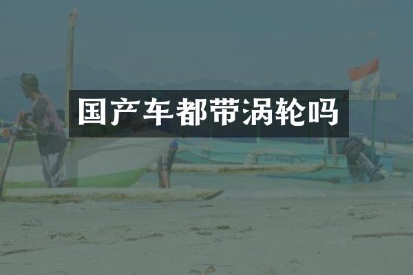 国产车都带涡轮吗