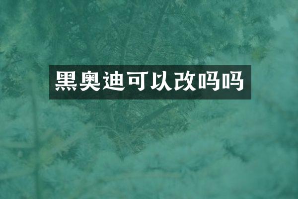 黑奥迪可以改吗吗