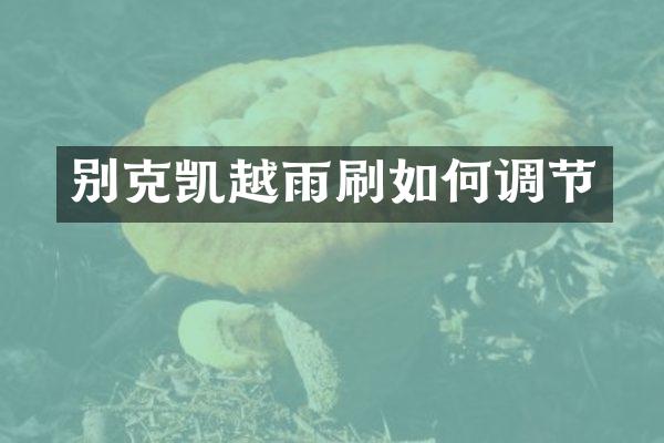 别克凯越雨刷如何调节