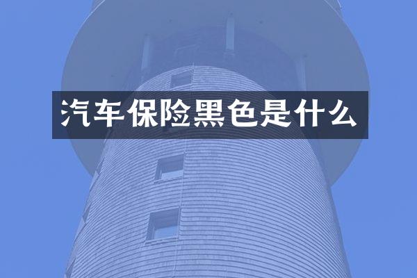 汽车保险黑色是什么