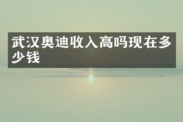 武汉奥迪收入高吗现在多少钱