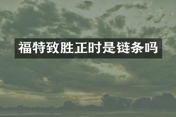 福特致胜正时是链条吗
