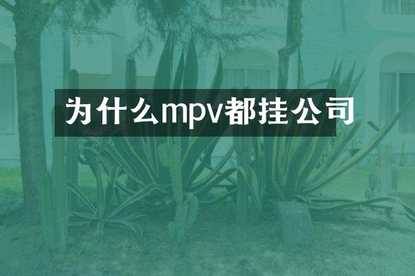 为什么mpv都挂公司
