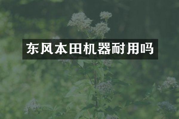 东风本田机器耐用吗