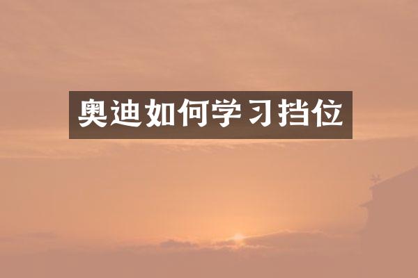 奥迪如何学习挡位