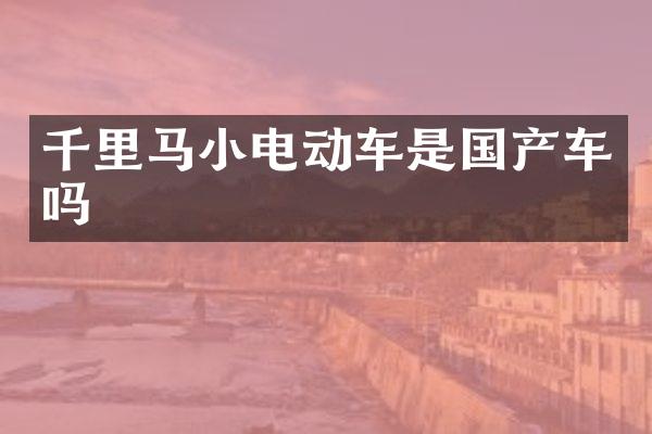 千里马小电动车是国产车吗