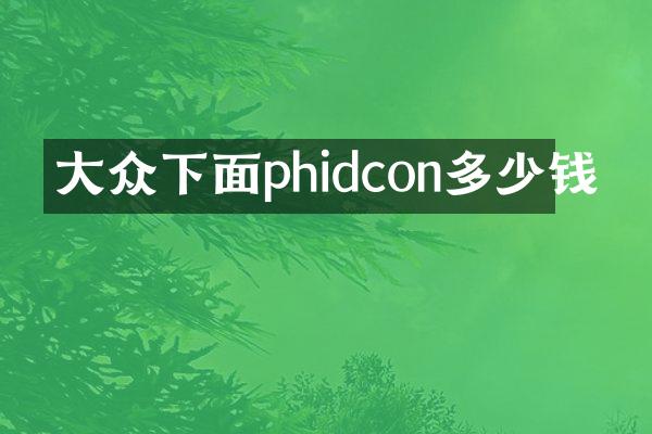 大众下面phidcon多少钱