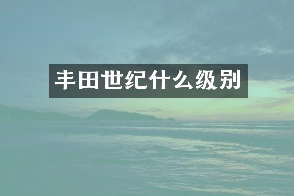 丰田世纪什么级别