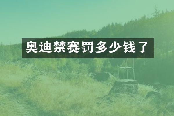 奥迪禁赛罚多少钱了