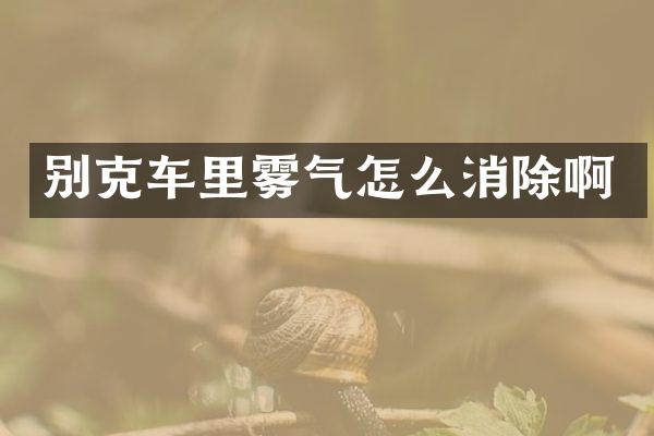 别克车里雾气怎么消除啊