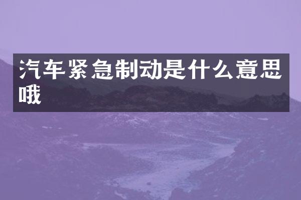 汽车紧急制动是什么意思哦