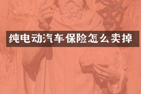 纯电动汽车保险怎么卖掉