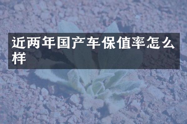 近两年国产车保值率怎么样
