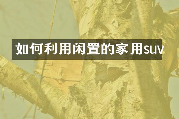 如何利用闲置的家用suv