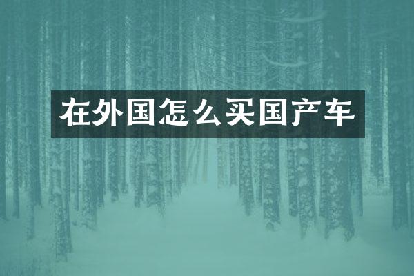在外国怎么买国产车