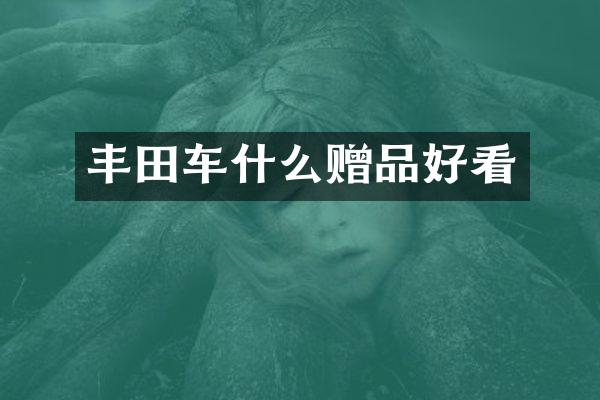 丰田车什么赠品好看