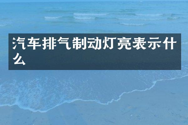 汽车排气制动灯亮表示什么